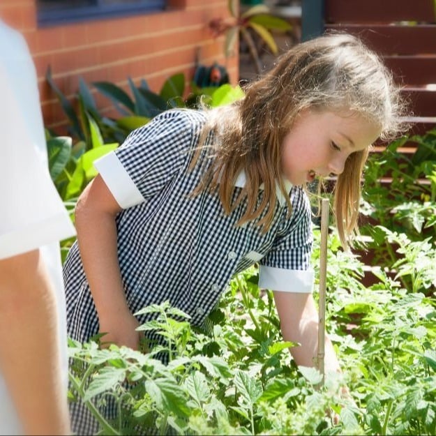 Outdoor learning Furniture
